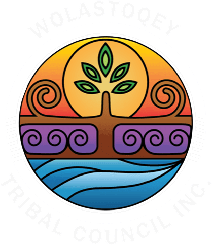 WTCI Logo - Light