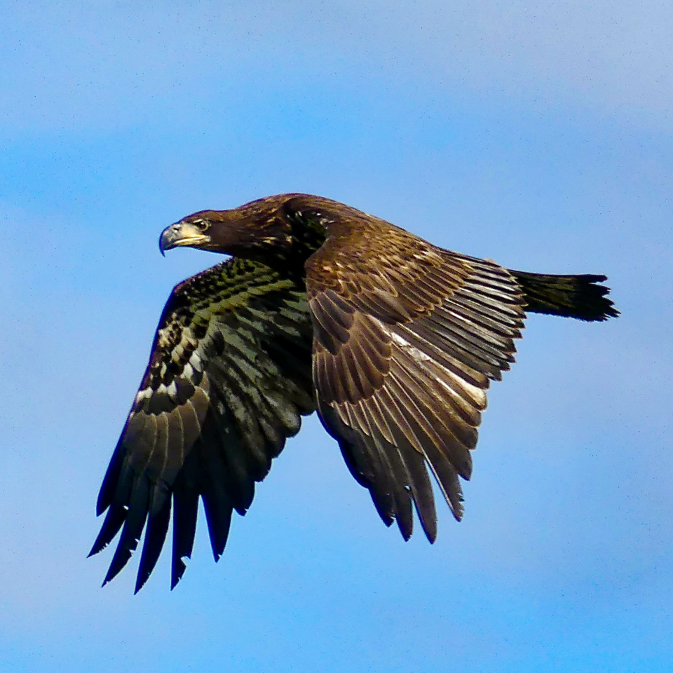 QR Code Branding (5)