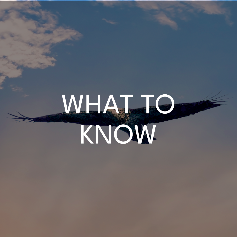 QR Code Branding (7)